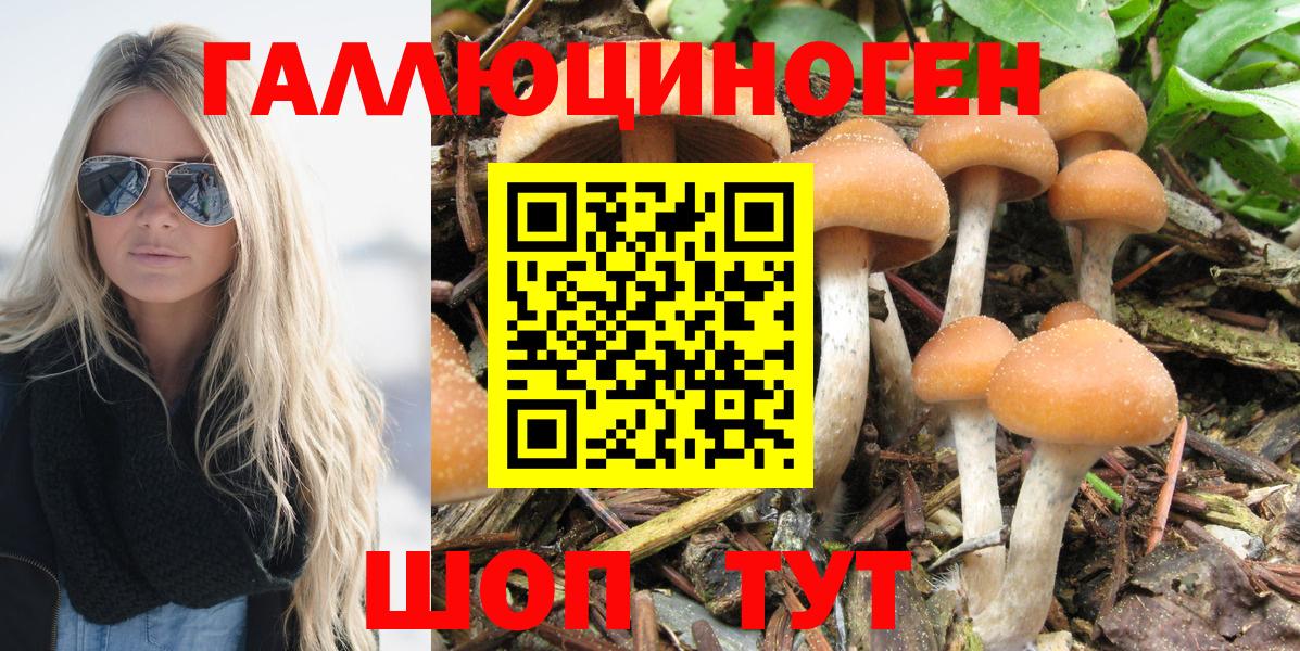 как найти закладки  Вход с VPN  Галлюциногенные грибы мицелий  Каспийск  Псилоцибиновые грибы прущие грибы 