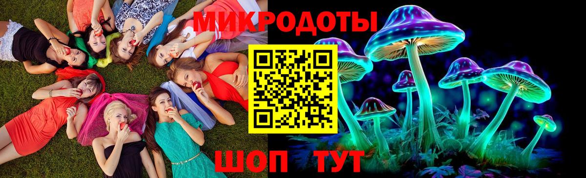Галлюциногенные грибы Psilocybe Каспийск